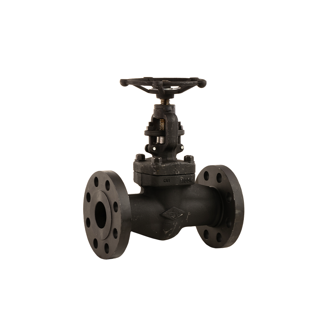 Forged Flanged Type Globe Valve
