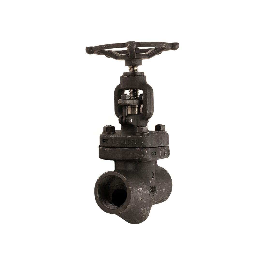 Forged Globe Valve